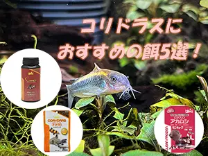 タイトルアイキャッチ